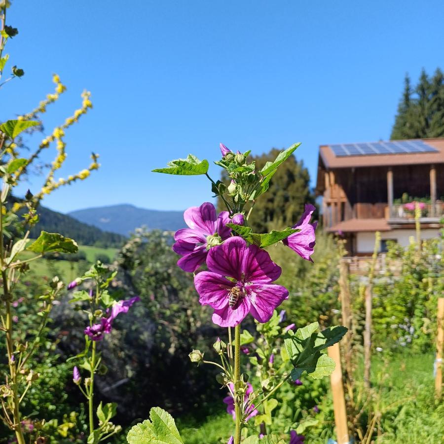 Tiny House Am Steinergut * Radstadt