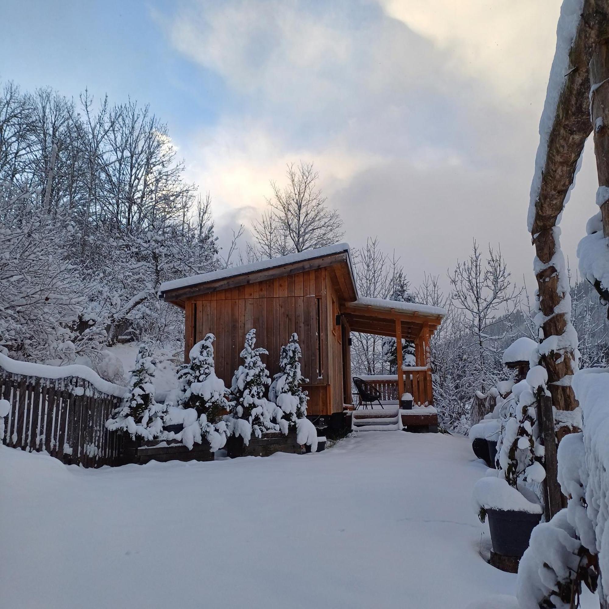 Campsite Tiny House Am Steinergut