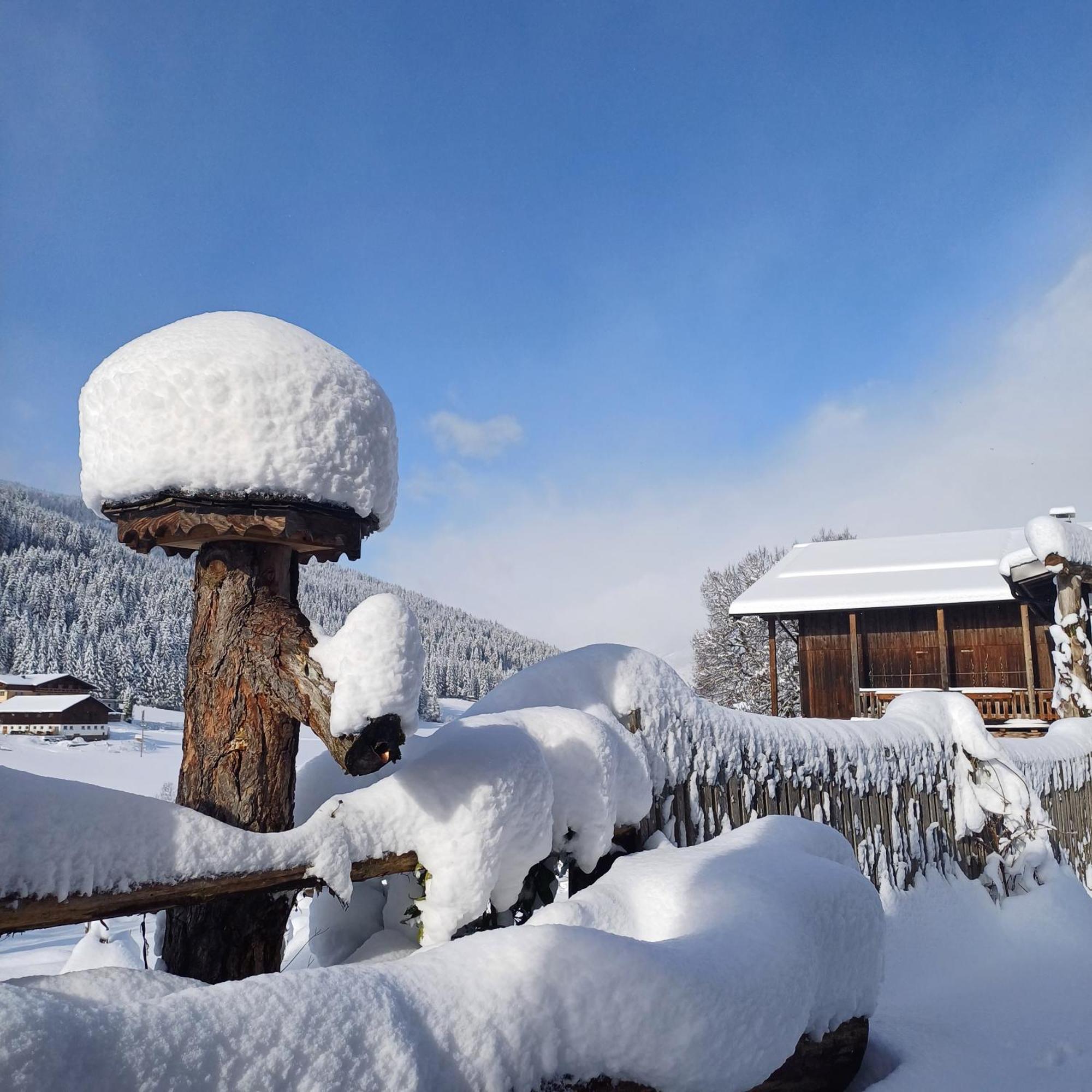Tiny House Am Steinergut *